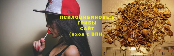 дмт Арсеньев