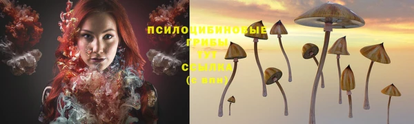 дмт Арсеньев